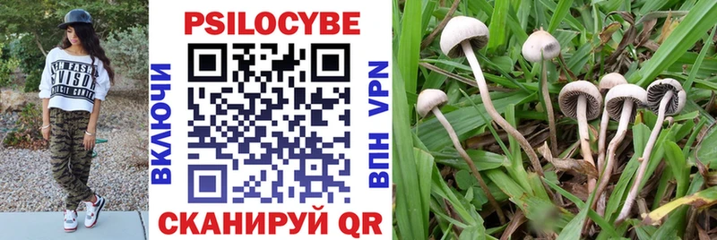 Галлюциногенные грибы Psilocybine cubensis  Купить закладки  Нестеров 