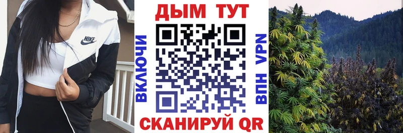 Купить где  Нестеров  МАРИХУАНА сатива 